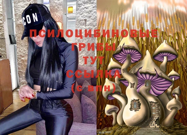прущая мука Белокуриха